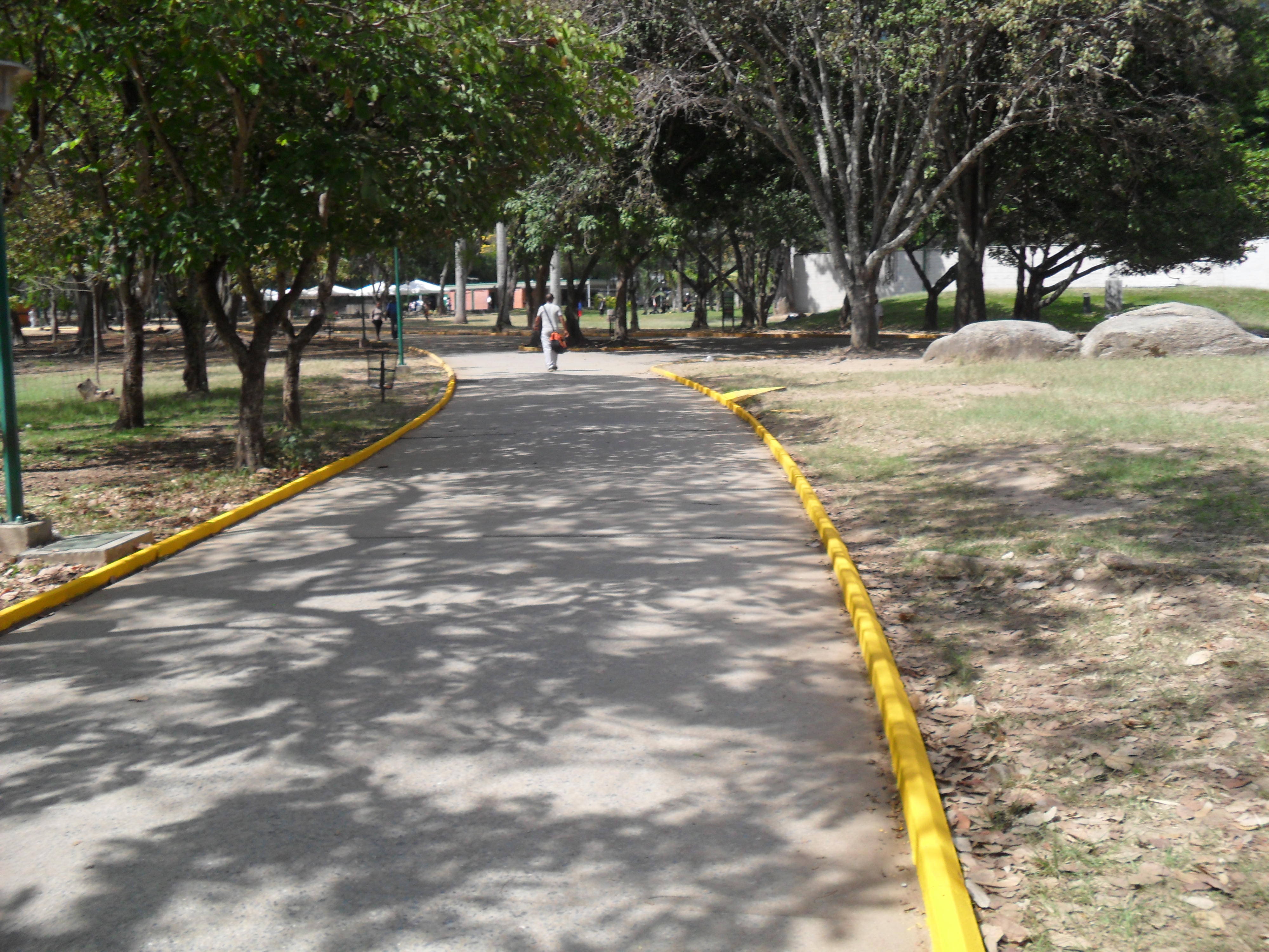 Parque Francisco de Miranda 3