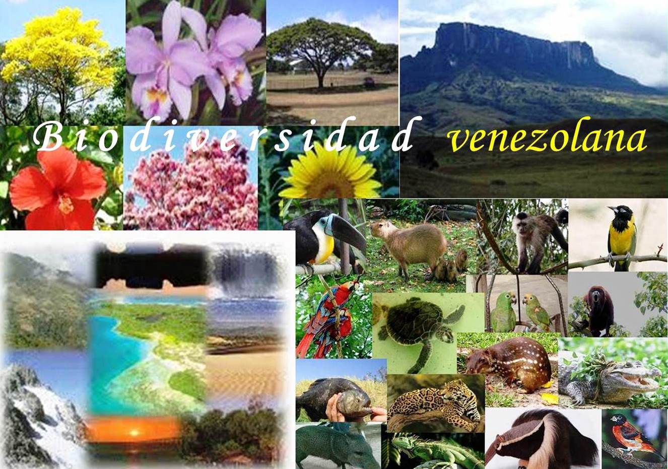 biodiversidad-venezola1