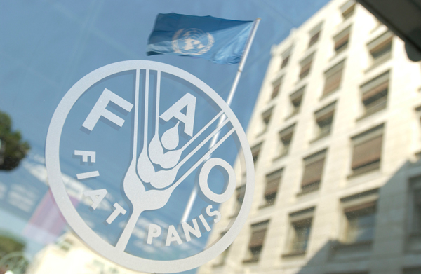 FAO-LOGO1