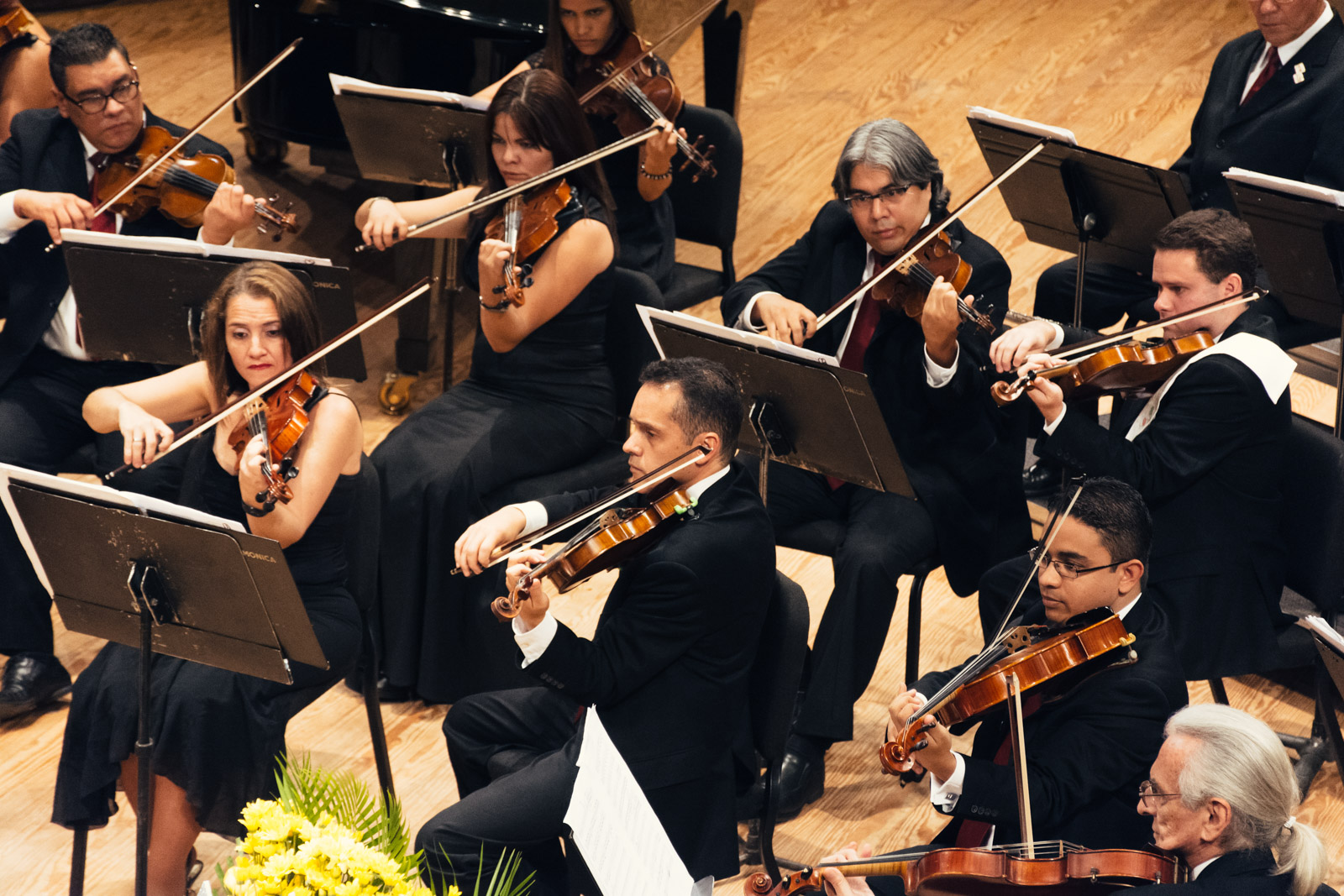 Foto 4 Orquesta Filarmónica Nacional