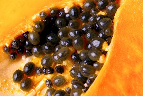 Las-semillas-de-la-papaya2-500x335