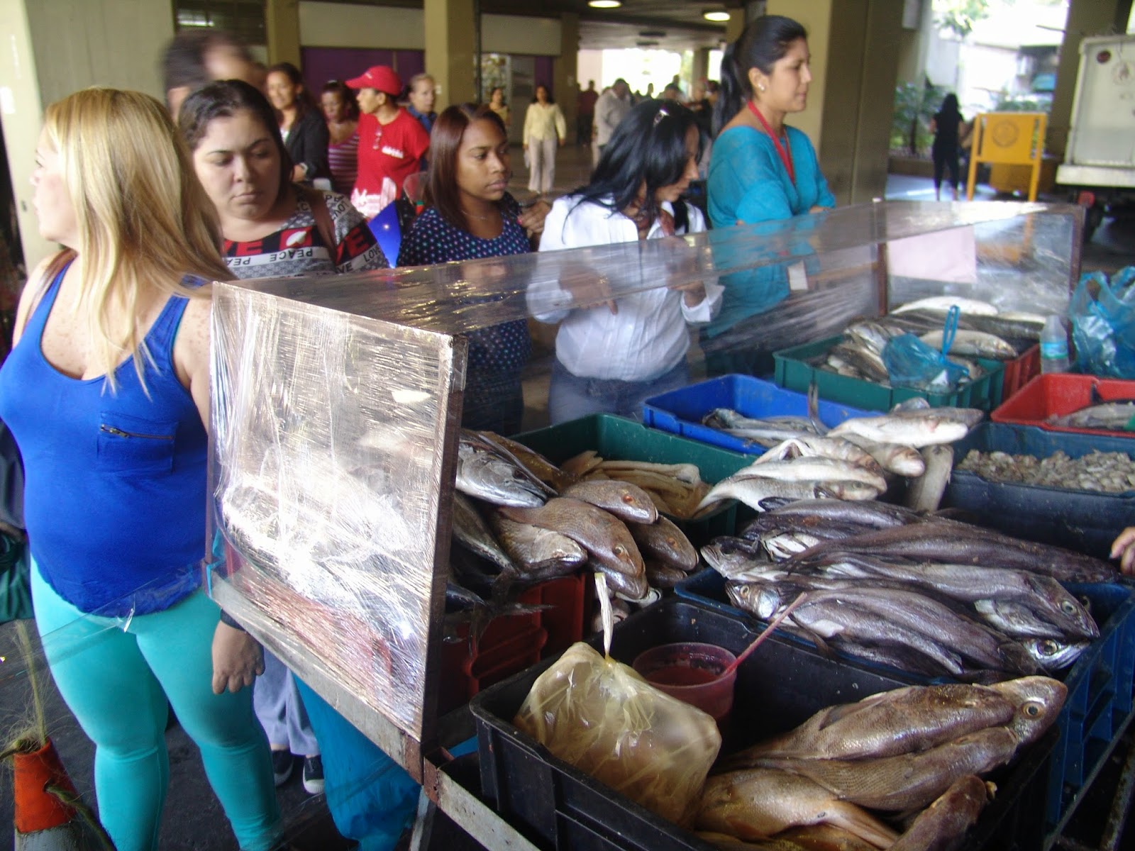 Insopesca ofrece a precio justo alimento marino fresco en Parque Central