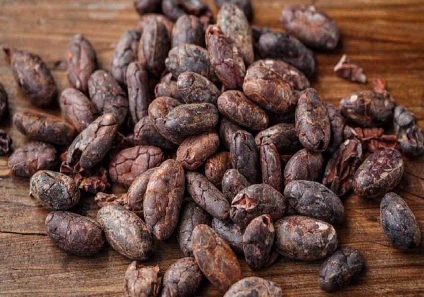 14OCT-CACAO-Exportados-más-de-57-mil-kilos-de-cacao-a-Malasia-y-Japón-800x445