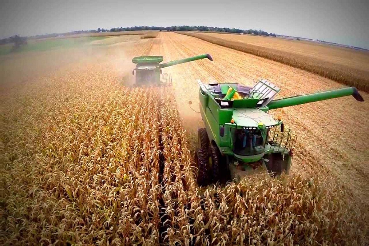 cosecha-maiz-trilladoras-1200-x-800