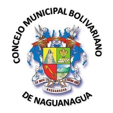 Consejo municipal de Naguanagua