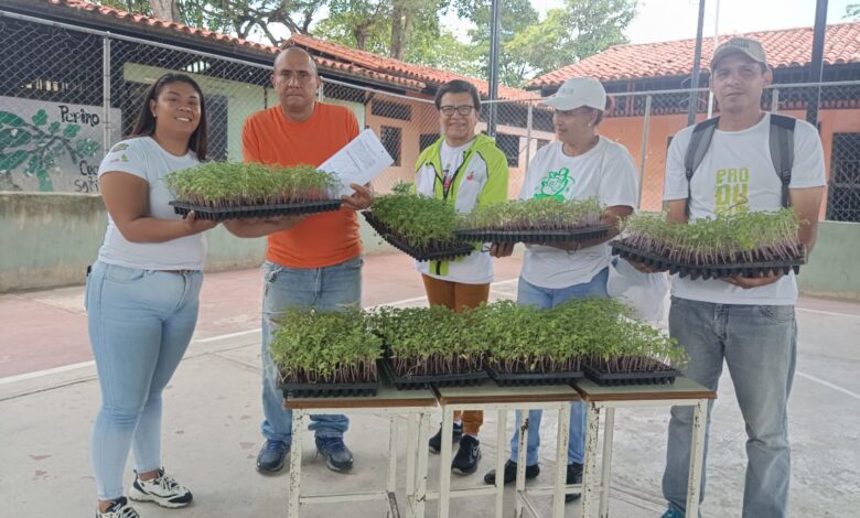 Minppau entrega 2.200 plántulas de tomate a productor en San Francisco de Yare del estado Bolivariano de Miranda