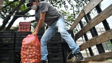 Plan Pueblo a Pueblo ha distribuido más de 3500 toneladas de alimentos