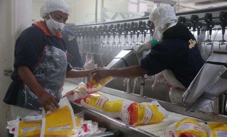 Yaracuy: Grupo Ebenezer aporta 900 mil kg mensuales de pollo a los programas de alimentación